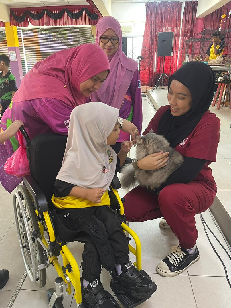 School talk event engaging students on gentle cat handling techniques