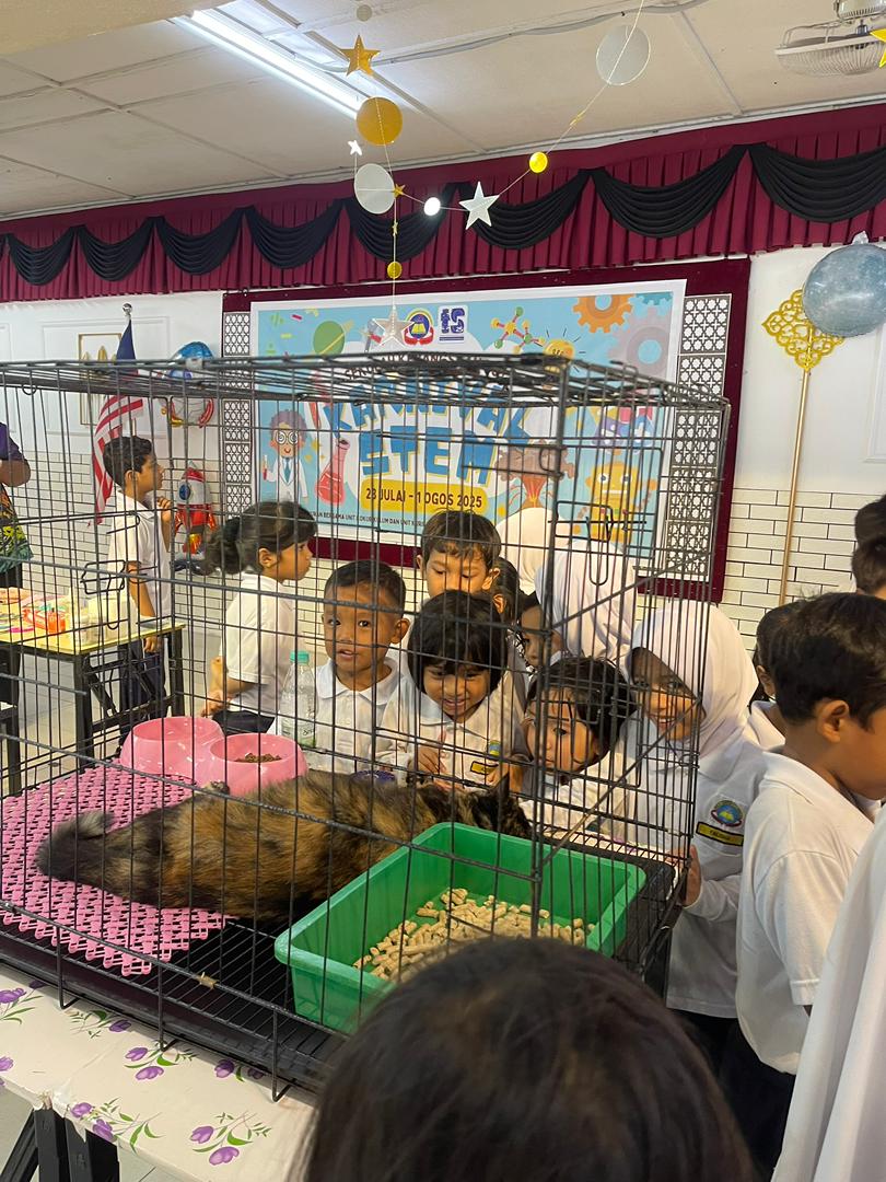 Community outreach workshop demonstrating daily cat grooming basics