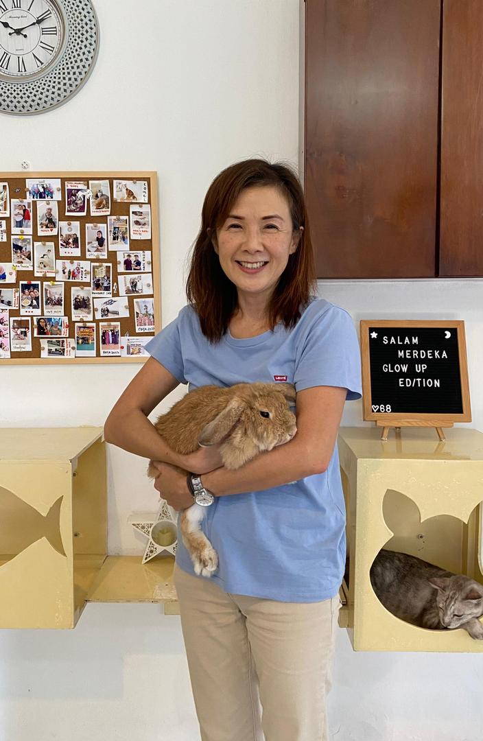 Cat parent collecting cat following signature lion cut