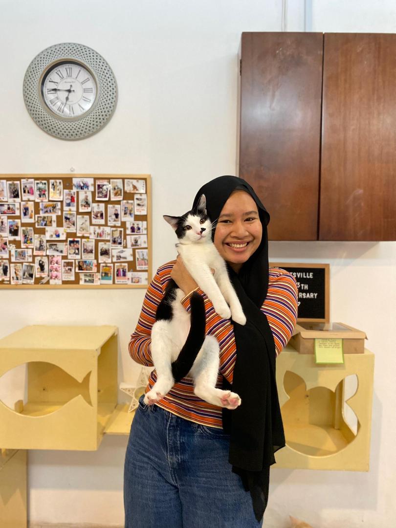 Subang Jaya cat lover visiting Catsville for pet care