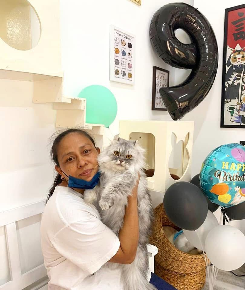 Customer picking up happy cat after holiday boarding stay