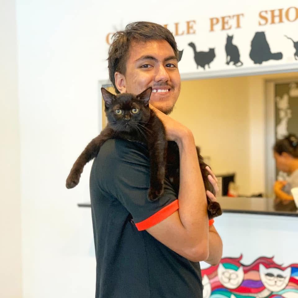 Subang Jaya regular customer returning for grooming service