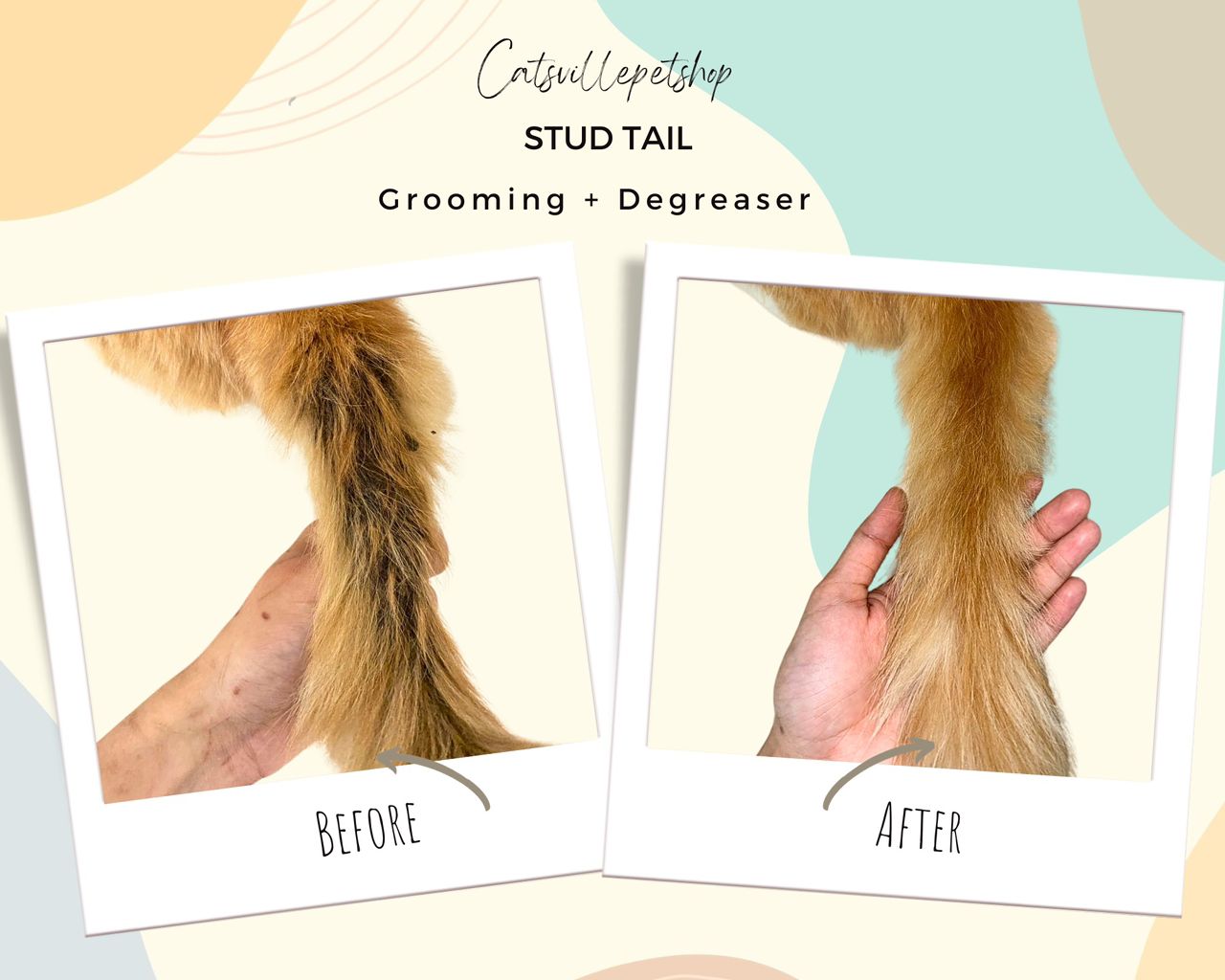 Lion cut transformation side view showing clean lines and symmetry