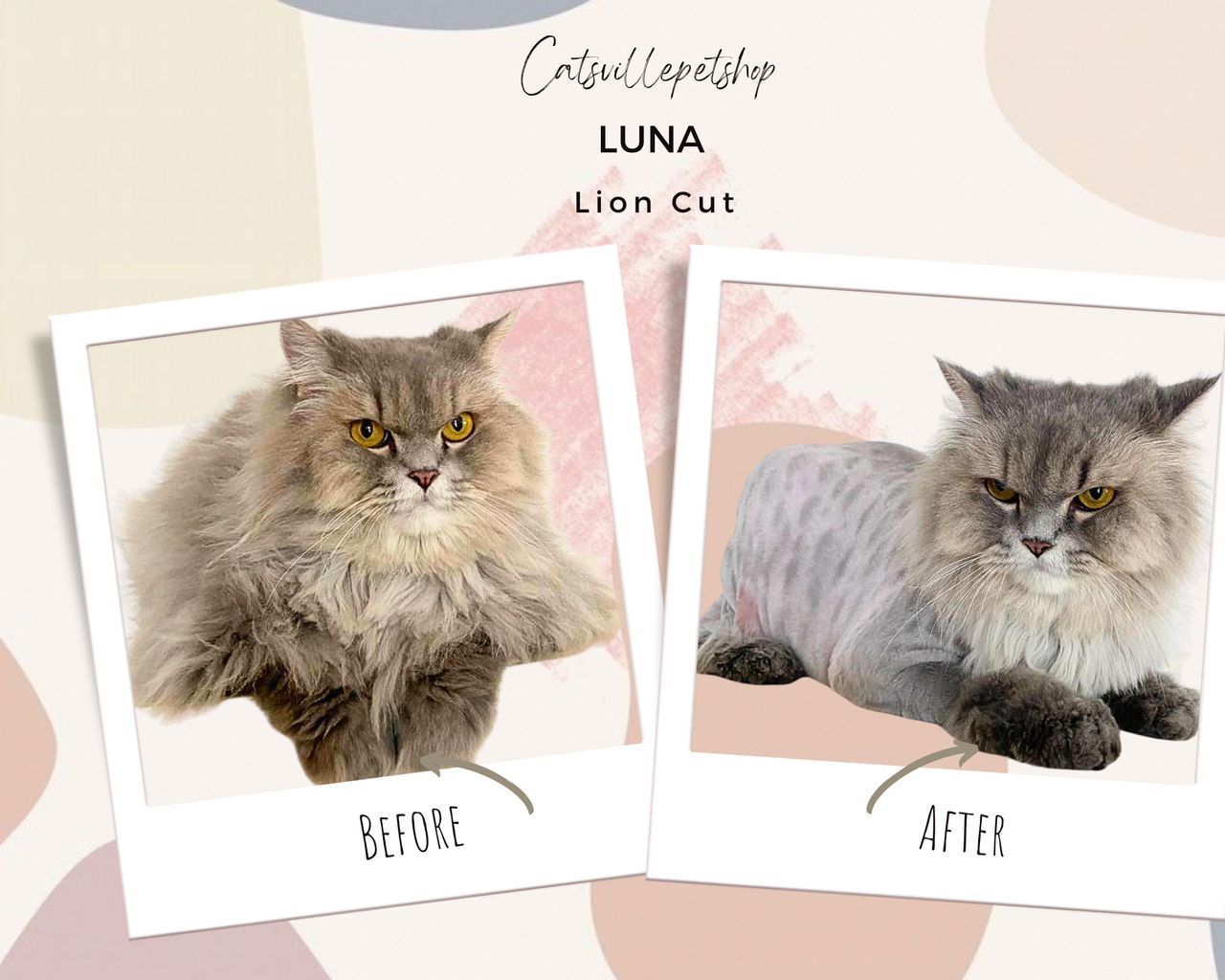 Clean finish lion cut for coat relief and mat removal