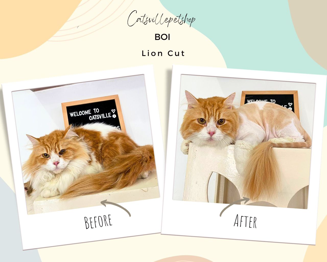 Signature Lion Cut